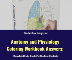 Anatomy And Physiology Coloring Workbook Answers PDF free