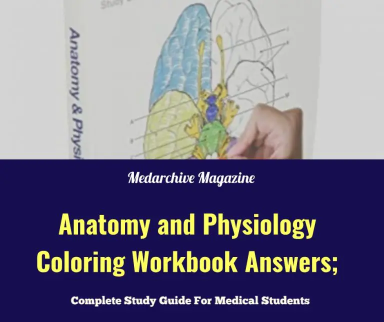 anatomy and physiology coloring workbook
