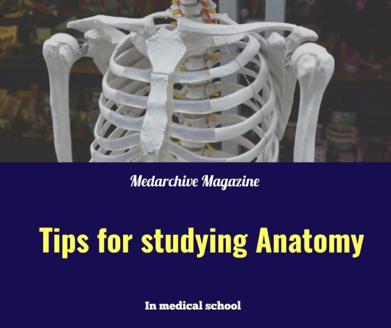 tips for studying anatomy in medical school