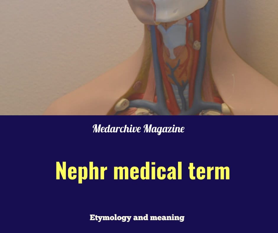 Nephr Medical Term: Etymology, Meaning and 15+ Uses